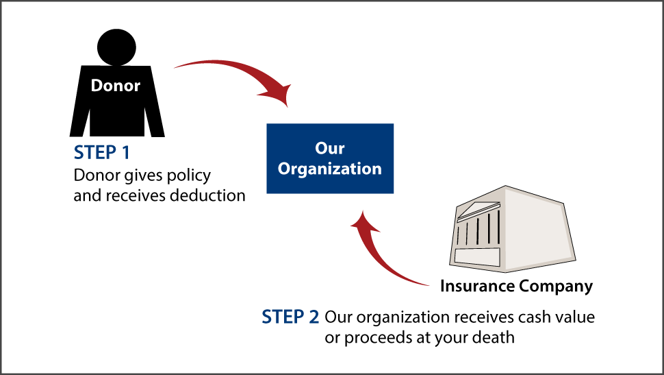 Life Insurance Policy Thumbnail
